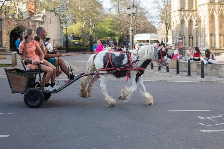 Man and two children on a horse-pulled rickshaw